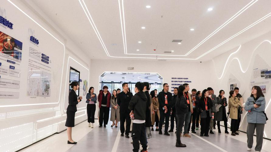 内江软件与信息技术服务外包产业园 金融信息技术外包的创新高地
