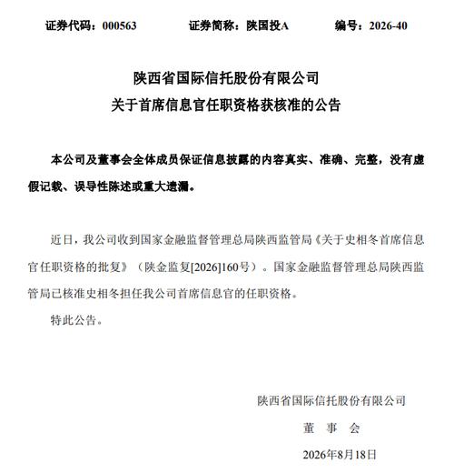 中共党员,工程硕士学历,拥有近20年金融行业信息技术管理经验,是兼具